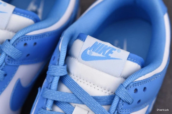 University Low DD1391-102 Dunk Nike Blue 1001